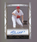 2022 Leaf Trinity #CA-BW1 Brandon Walter Clear Autographs Foil Gold #/50