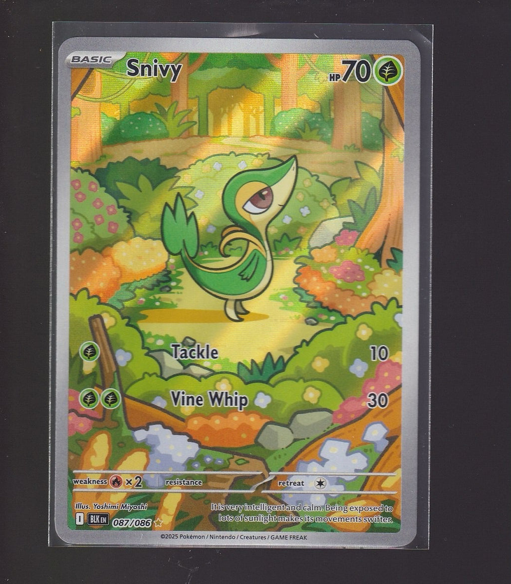 SV: Black Bolt #087/086 Snivy-Illustration Rare