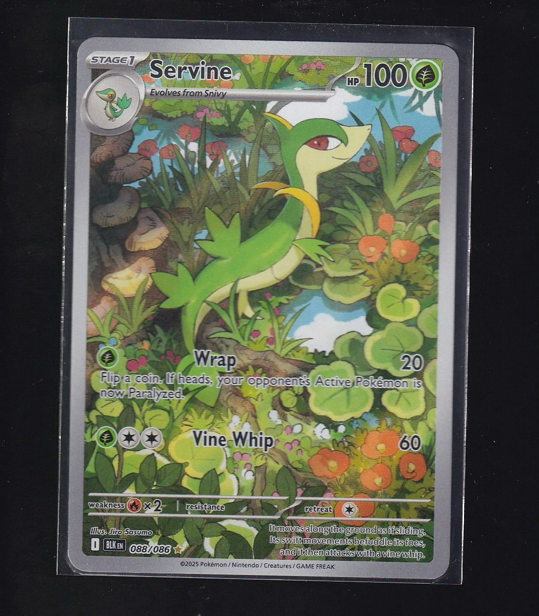 SV: Black Bolt #088/086 Servine-Illustration Rare