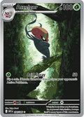 Accelgor 094/086